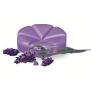 Bolsius Creations Aromatic  französischer Lavendel 8 Blüten