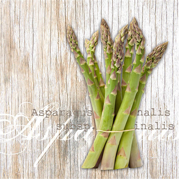 20 Servietten, 3-lagig 1/4-Falz 25 cm x 25 cm "Asparagus"